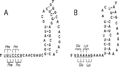 genetics